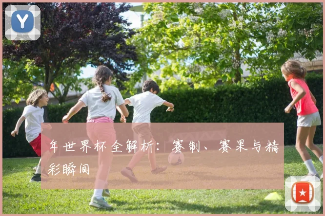 年世界杯全解析:赛制、赛果与精彩瞬间